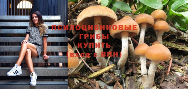 мескалин Арсеньев