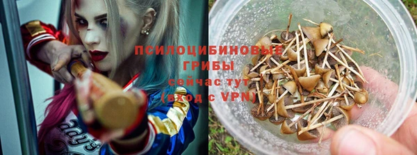 дмт Аркадак